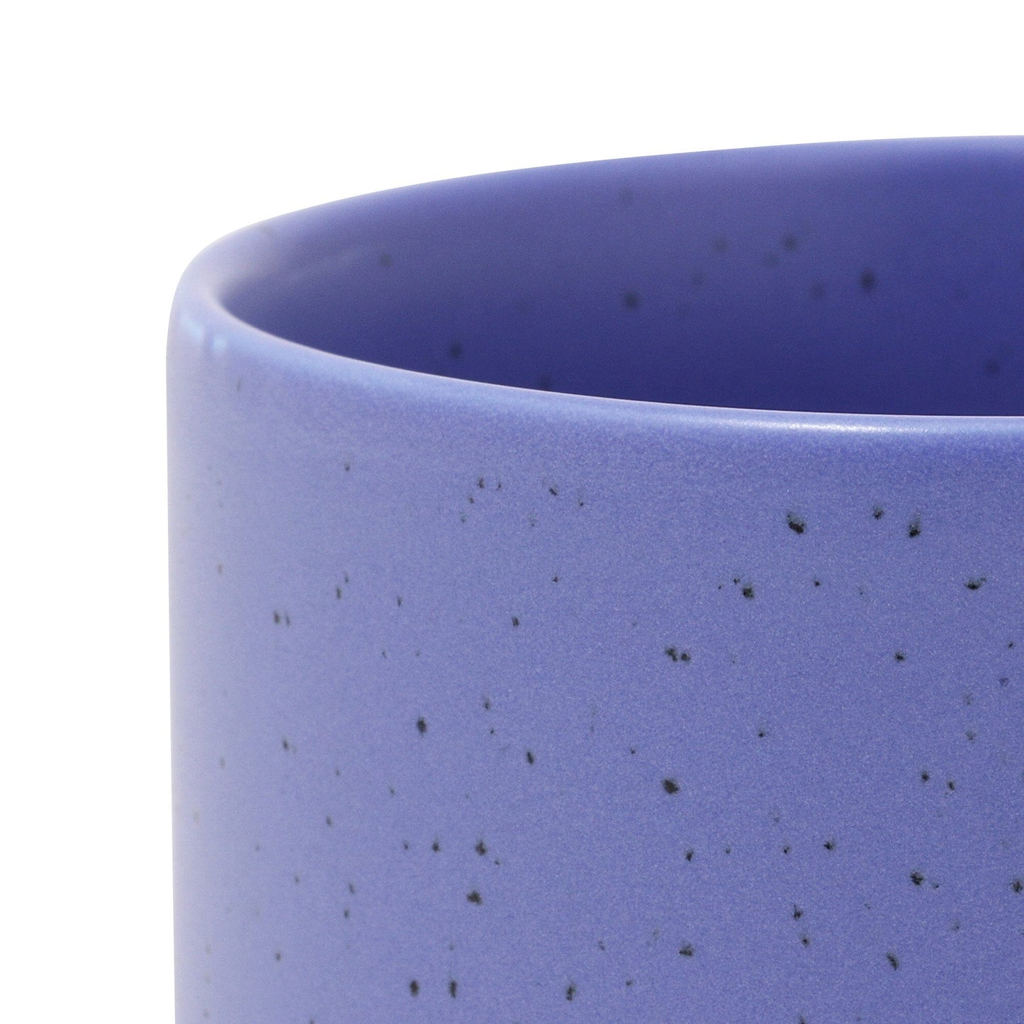Splatter Dip Bowl Purple