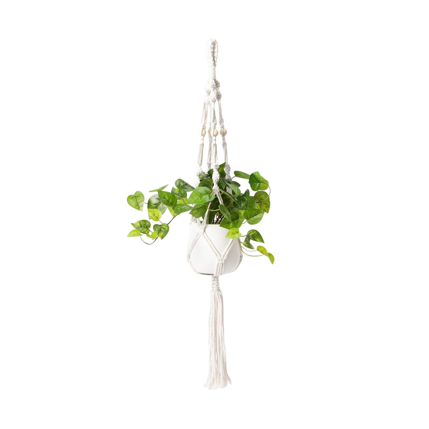 Hanging Art Green Pothos
