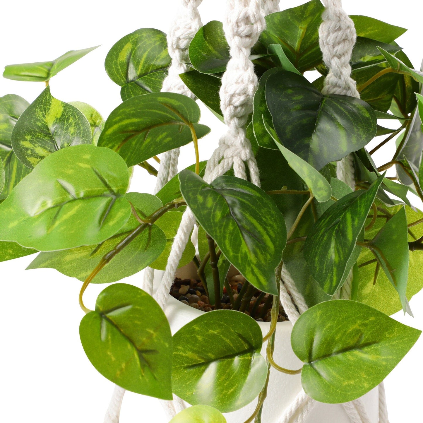 Hanging Art Green Pothos