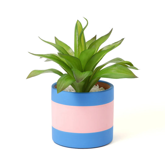Art Green & Pot Agave