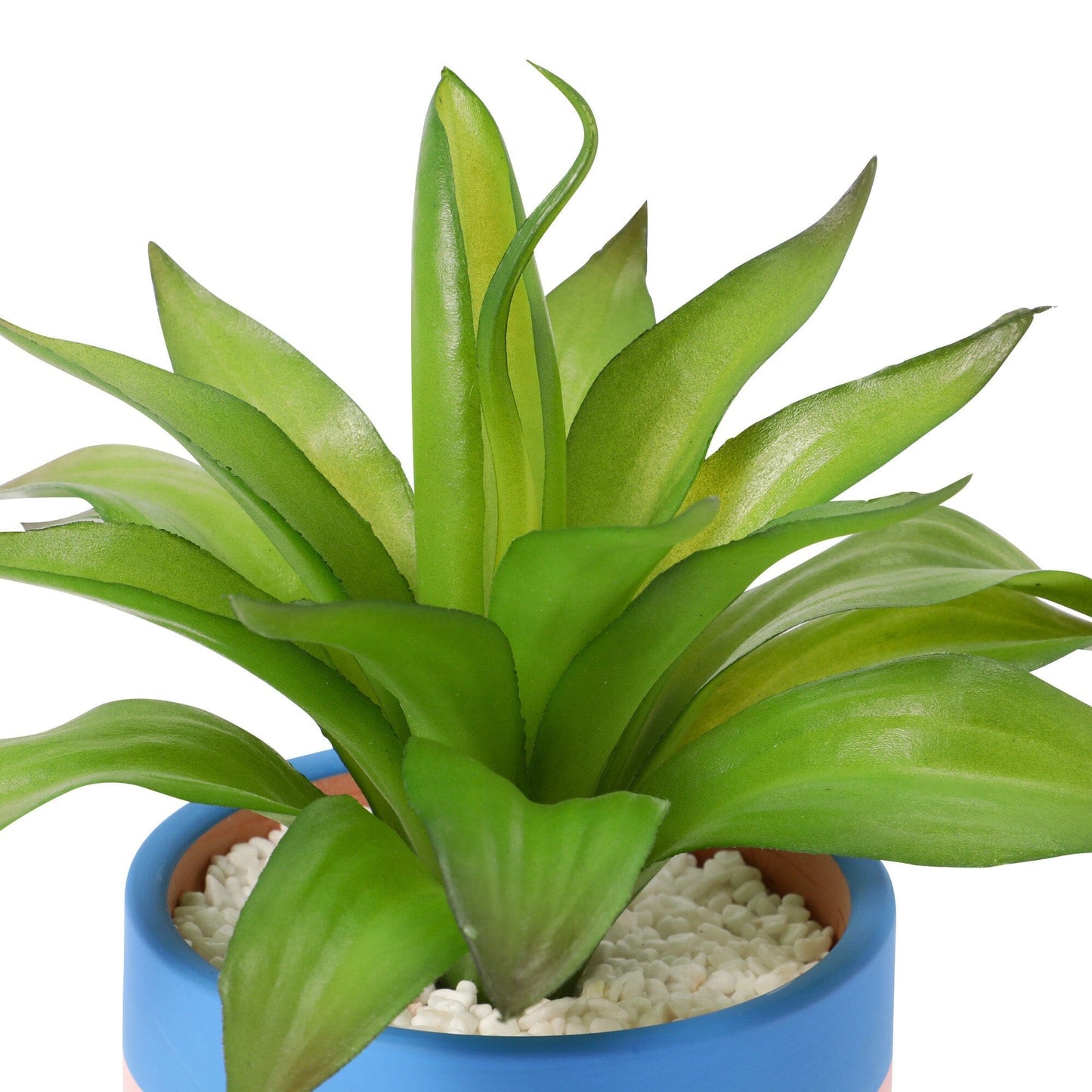 Art Green & Pot Agave