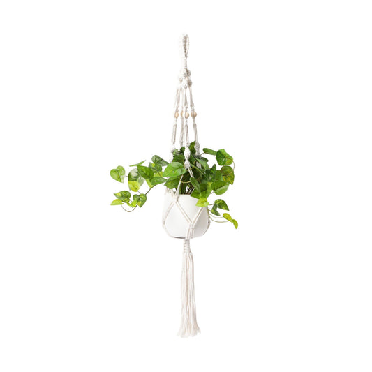 Hanging Art Green Pothos