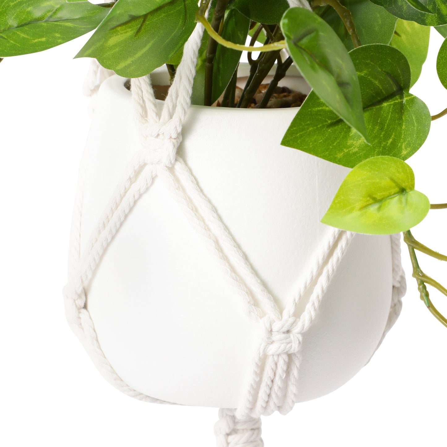 Hanging Art Green Pothos