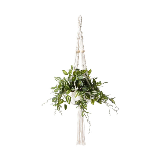 Hanging Art Green Tradescantia